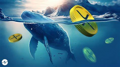 XRP Whales Dump 285M Coins Amid SEC Appeal, What’s Next? - CryptoNewsZ