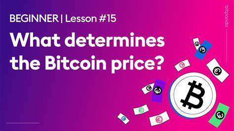 What Determines Bitcoin's Price?