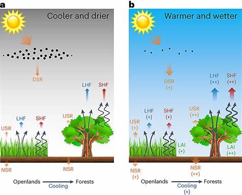 Effectiveness of trees in reducing temperature, outdoor heat exposure in Vegas
