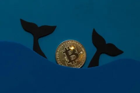 Crypto Whale Shorts $445M in Bitcoin While Taking Bullish Bet on MELANIA Token, Hyperliquid Data Show