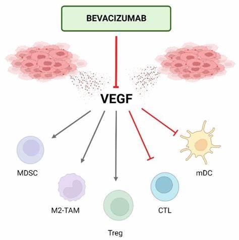 A bevacizumab szemészeti alkalmazása