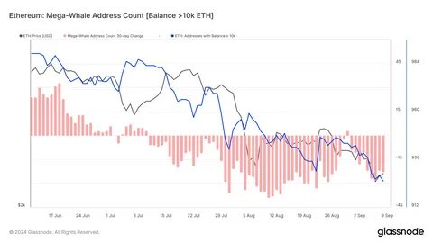Whale Movements Signal Uncertainty for Ethereum (ETH) Price - BeInCrypto