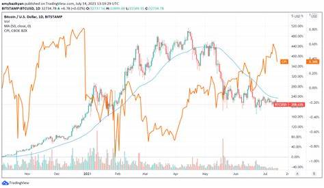 Bitcoin rallies to new heights as U.S investors react to CPI data - Nairametrics