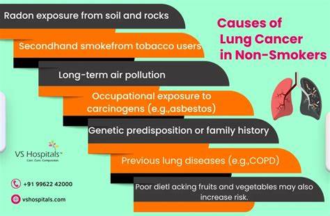 NIH Scientists Link Air Pollution and Lung Cancer Mutations in Non-Smokers