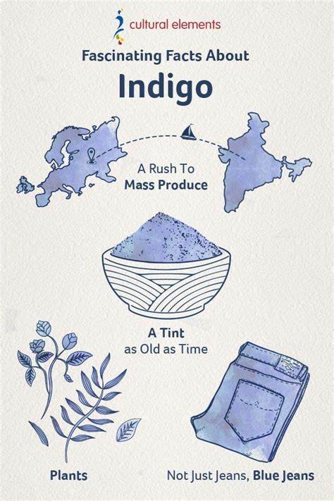 6 Facts About Indigo That Might Surprise You
