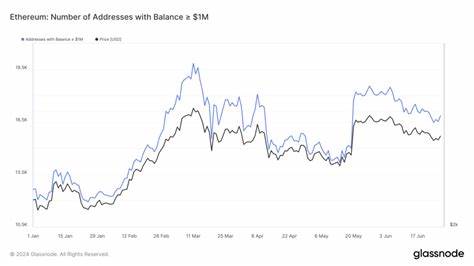 Volatile trend in Ethereum millionaire addresses highlights market dynamics in 2024 - CryptoSlate