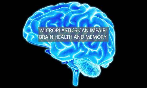 Scientists Sound the Alarm Over Plastics in Our Brains After Shocking Study - idfspokesperson.com