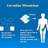 Somatic Mosaicism Across Human Tissues Network