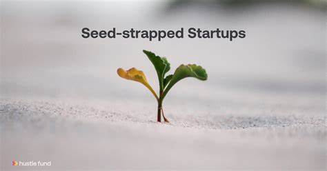 Seed-Strapped" AI Startups Are Refusing Millions– To Make Billions