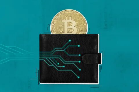Best Multi-Cryptocurrency Wallet (Complete Guide Beyond) - Cryptopolitan