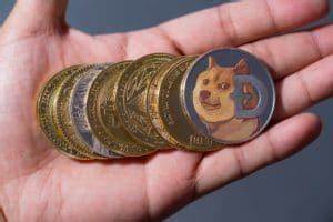 When will the meme coin craze die down? - The Cryptonomist