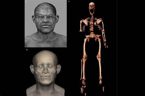 First human genome from ancient Egypt sequenced from 4,800-year-old teeth
