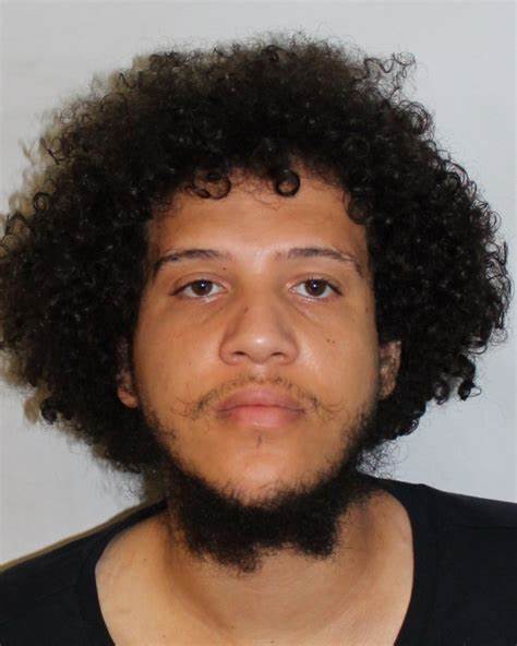 Hair-brained honeytrap: Bungling kidnap gang lure celebrity Belgian barber to London after they wrongly thought he had a £500k cryptocurrency fortune... then drop him off to 