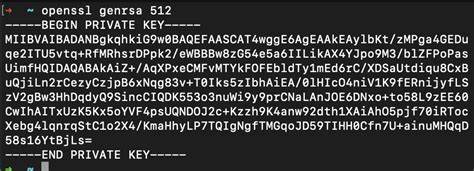 Is Anybody Using This Private Key