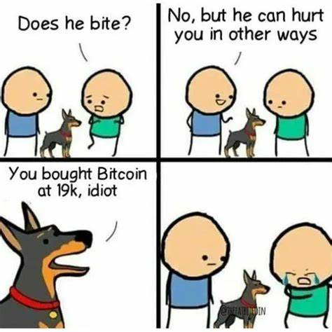 11 Bitcoin Memes to Cheer You Up on a Bad Bear Day - CoinCentral