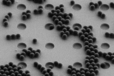 New 'sieve' detects the smallest pieces of plastic in the environment