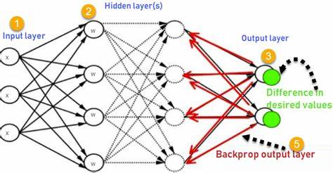 Backpropagation Explainer