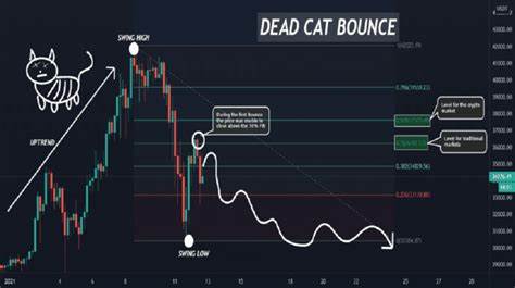 Beware crypto’s $235bn dead-cat bounce. Here’s what’s next for Bitcoin and Ether prices