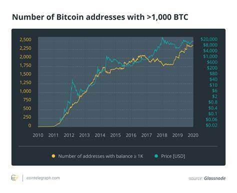 Number of Bitcoin Addresses Holding Over 1,000 BTC Hits New High - Decrypt
