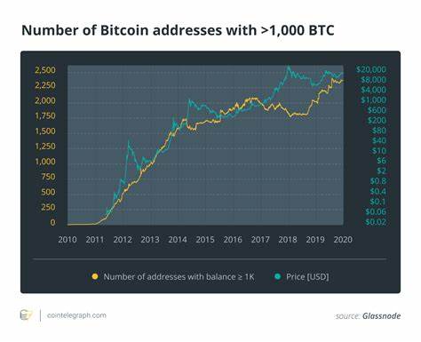 Number of Bitcoin Addresses Holding Over 1,000 BTC Hits New High - Decrypt