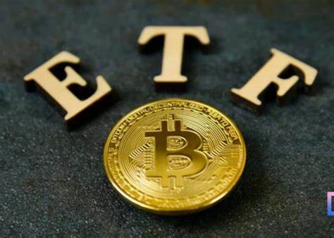 The bitcoin ETF boom is the cryptocurrency's 'IPO moment,' says the investment chief of a fund provider