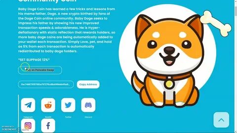 How to Buy Baby Doge Coin (BABYDOGE) Guide 2024 - CoinCodex