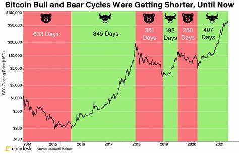 Bull versus Bear Trend in the Cryptocurrency Market: When is the Time 