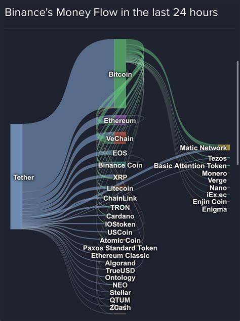 Top Winning Cryptocurrencies in the Last 24 Hours: Quick Analysis - Binance