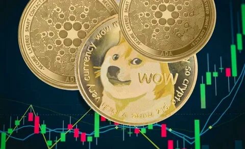 These are the Best Cryptos to Buy Now Says This Dogecoin Millionaire