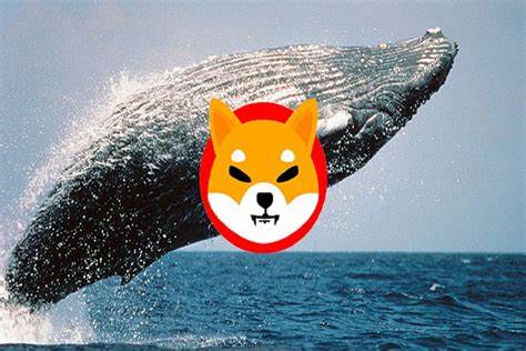 Shiba Inu coin up, as whales move $28.7m SHIB and Shibarium launch grows near