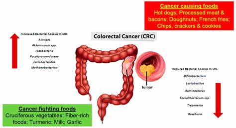 Weird 'harmless' microbes may play a pivotal role in colorectal cancer