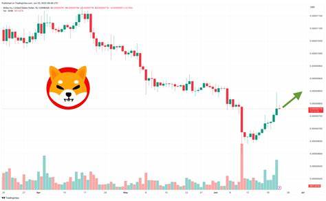 Everything to Know About Shiba Inu (SHIB) This Week - TradingView