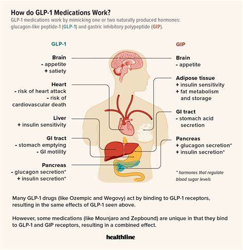 Why GLP-1s could become the "everything drug