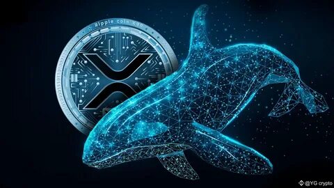XRP Whales Dump Holdings As Ripple Prepares $125M Move - CoinGape