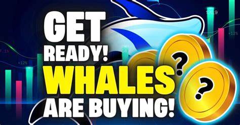 White House Crypto Summit: Whales Are Buying These 3 Altcoins - Altcoin Buzz