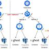 Kubernetes is a symptom, not a solution