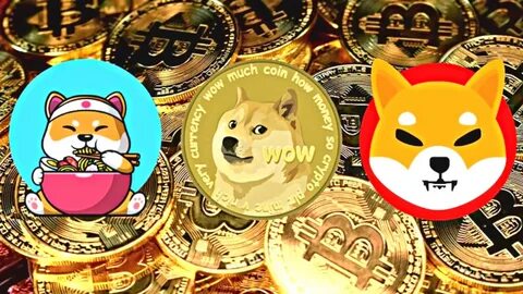 Recent SEC Guidance On Memecoins Suggests Broader Policy Change - CoinDesk