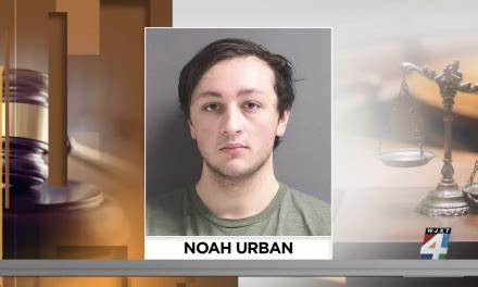 Palm Coast man linked to ‘Scattered Spider’ cybercrime gang pleads guilty to charges related to cryptocurrency theft - News4JAX