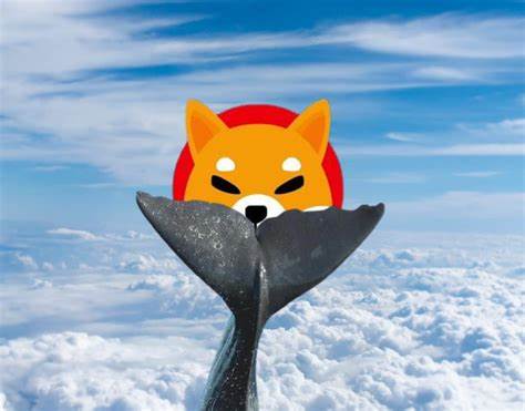 Over 60% of Shiba Inu (SHIB) Whales Are Quietly Accumulating This Token in October 2024