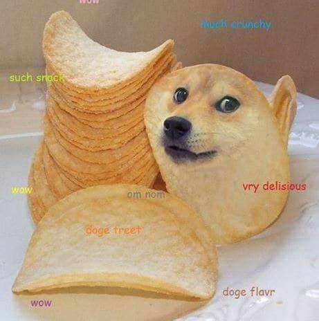 Such Sad! Kabosu, Dog Who Inspired Doge Meme, Dies at 18 - Hyperallergic