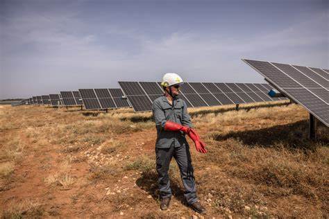 Solar stocks nosedive following surprise White House move