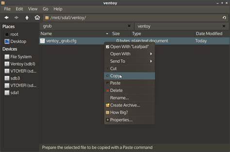 Setting Up Puppy Linux with Ventoy