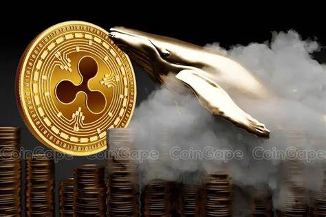 Whales Accumulate 520M XRP Along With This AI Coin, Solana Forms Hidden Divergence Pattern - Blockonomi
