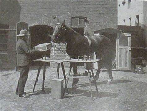 Clever Hans Couldn't Do Arithmetic, and LLMs Don't Understand