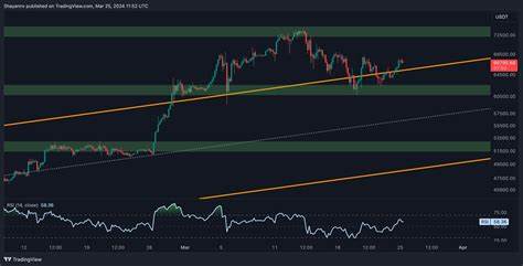 This Bitcoin Metric Signals Caution Despite Attempts to Reclaim $67K: BTC Price Analysis - CryptoPotato