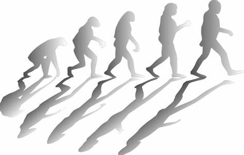 Culture is overtaking genetics in shaping human evolution, researchers argue