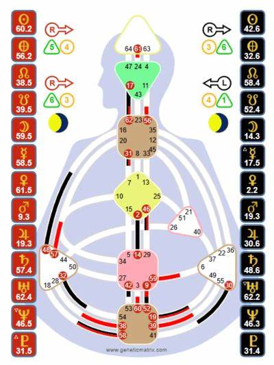 Was ist Human Design? Kompakt, verständlich & praxisnah erklärt
