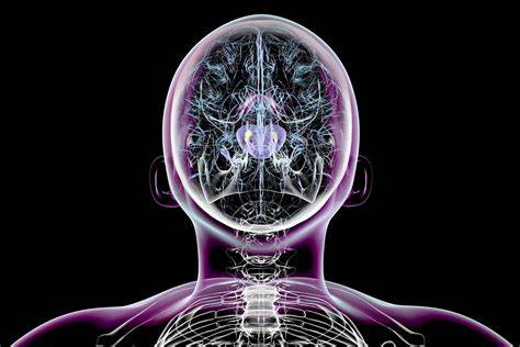 Scientists reverse Parkinson's symptoms in mice – Could humans be next?