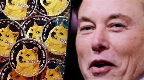 What is Trump’s DOGE commission headed by Musk and why is it already being sued?