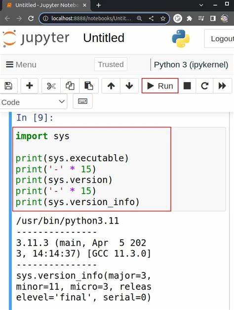 Determine Python version and package versions from within a Jupyter notebook
